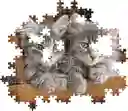 Rompecabezas 500 Piezas Gatitos Adorables Clementoni Adultos