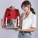 Maleta Capsula Perro/gato