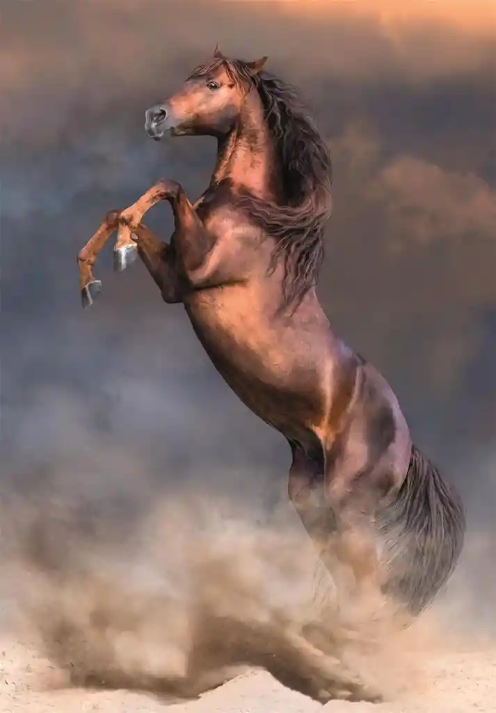 Rompecabezas 500 Piezas Caballo Salvaje Al Galope Clementoni