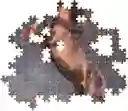 Rompecabezas 500 Piezas Caballo Salvaje Al Galope Clementoni