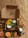 Set Magia