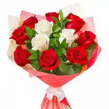 Rosas En Dos Tonos