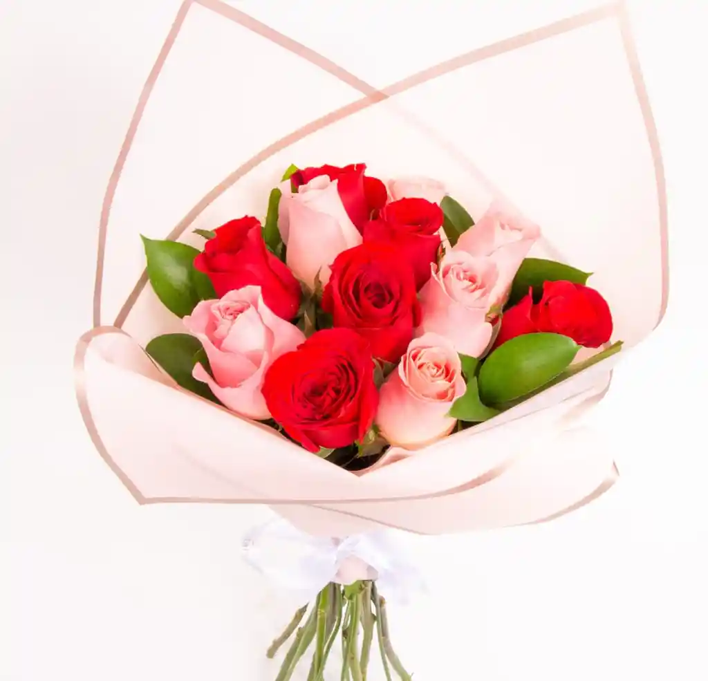 Rosas En Dos Tonos