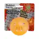 Pelota Dispensadora