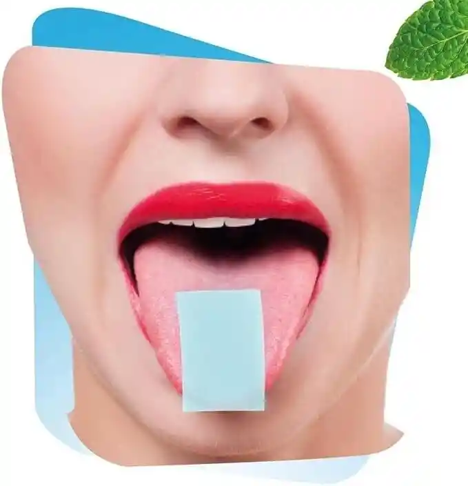 Hojas De Menta X 24