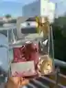 Bolso Con Champaña Y Rosas Eterna