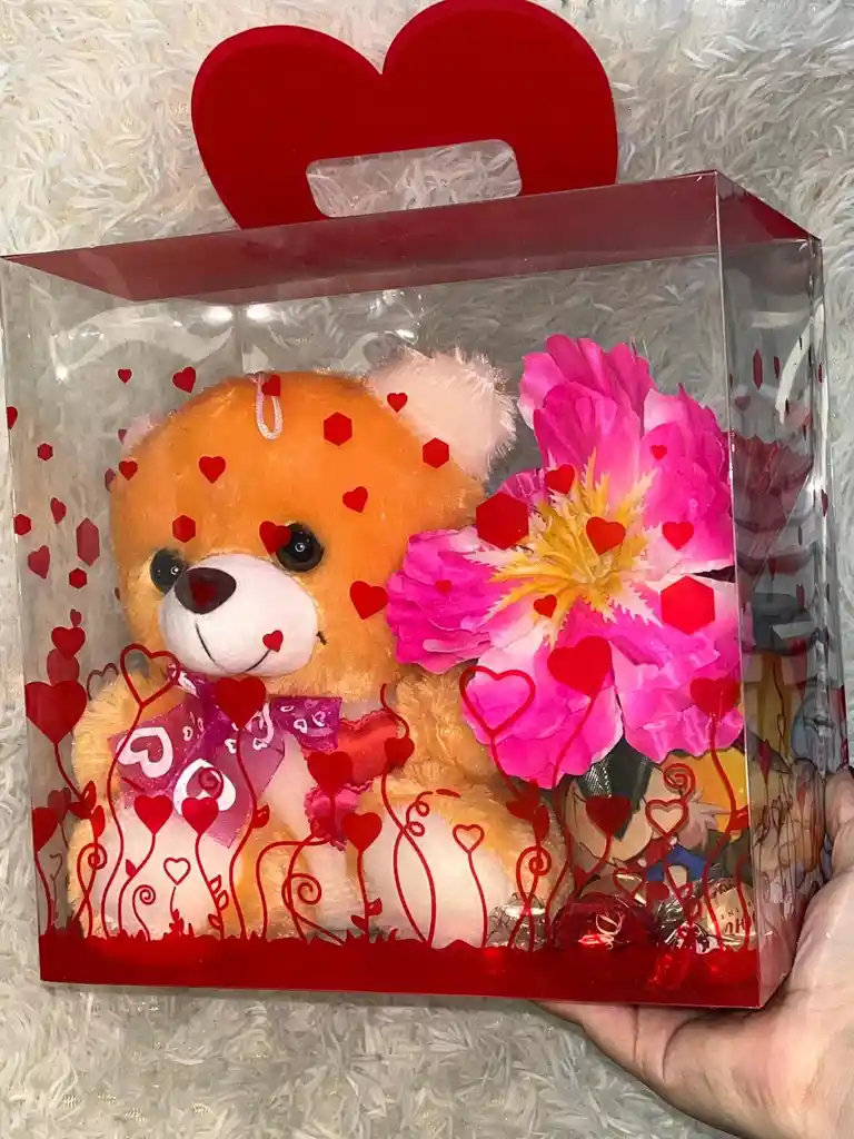 Kit Peluche + Mug Para El Dia De La Madre