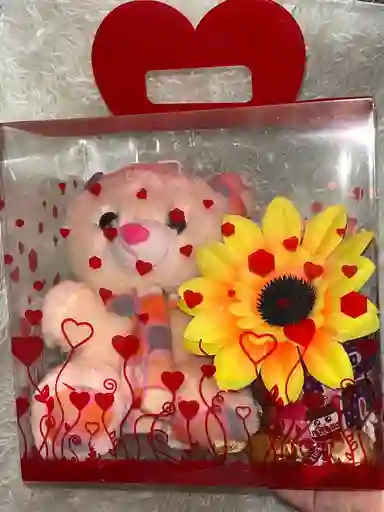 Kit Peluche + Mug Para El Dia De La Madre
