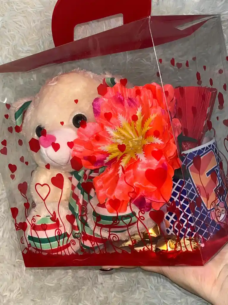 Kit Peluche + Mug Para El Dia De La Madre