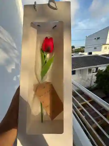Tulipán Eterno — Un Detalle Sencillo Que Enamora