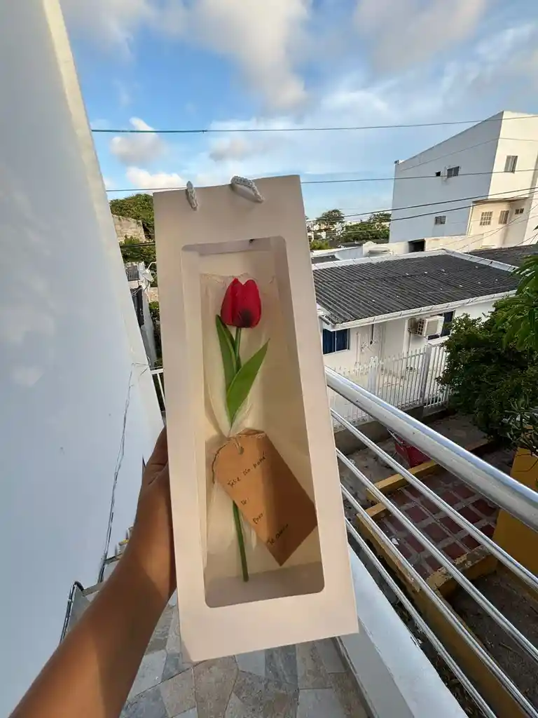 Tulipán Eterno — Un Detalle Sencillo Que Enamora