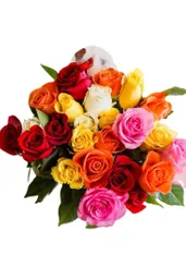 Rosas En Colores Surtidos