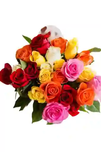 Rosas En Colores Surtidos
