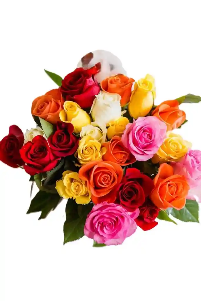 Rosas En Colores Surtidos