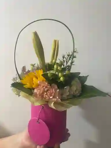Cilindro Encanto