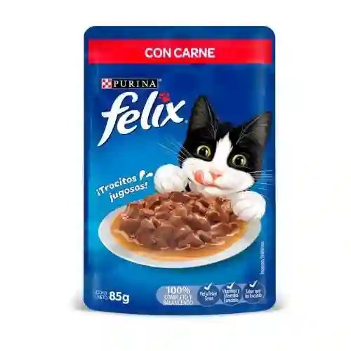 Felix Carne 85g