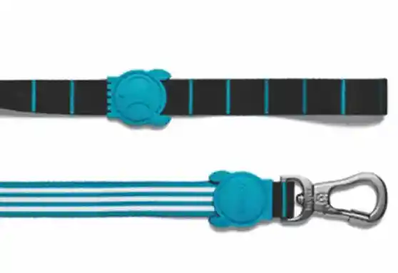 Correa Small Helsinki Leash