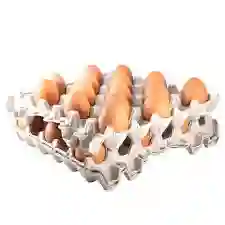 Jumbo Huevo