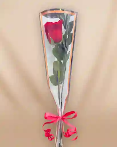 Solitario Rosa