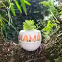 Regalo Mamá + Llavero Macramé