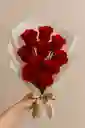 Bouquet 10 Rosas Rojas
