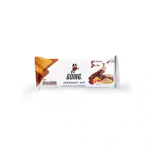 Barra Endurance Going - Chocolate X 60 Gr	