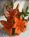 Flores - Lirio Japonés - Detalle Con Amor Para Regalo En Fecha Especial, Amor Y Amistad, Cumpleaños, Aniversarios, Condolencias, Graduación, Felicitación Y Agradecimiento.
