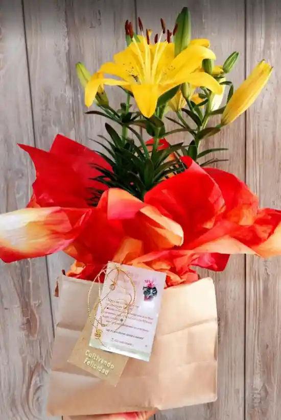 Flores - Lirio Japonés - Detalle Con Amor Para Regalo En Fecha Especial, Amor Y Amistad, Cumpleaños, Aniversarios, Condolencias, Graduación, Felicitación Y Agradecimiento.