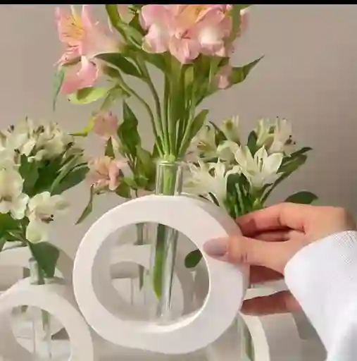 Florero Hidroponico