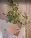 Bonsai Frutal - Detalle Con Amor Para Regalo En Fecha Especial, Amor Y Amistad, Cumpleaños, Aniversarios, Condolencias, Graduación, Felicitación Y Agradecimiento.