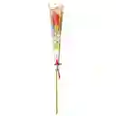 Rosa Natural Premium Unidad