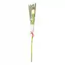 Rosa Natural Premium Unidad