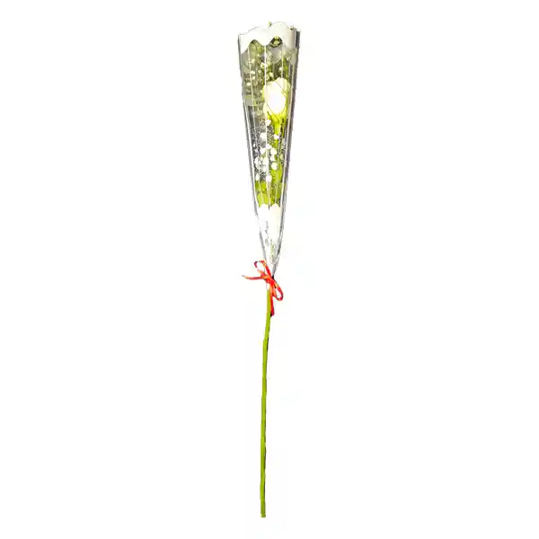 Rosa Natural Premium Unidad