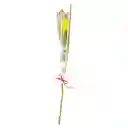 Rosa Natural Premium Unidad