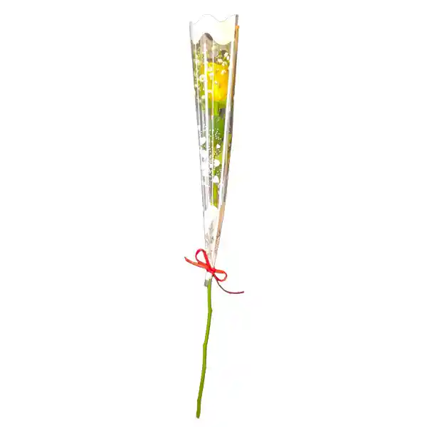 Rosa Natural Premium Unidad