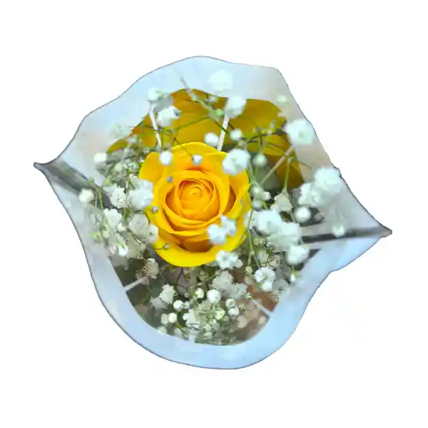 Rosa Natural Premium Unidad