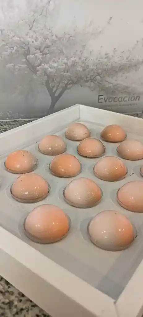 Naranja Silvestre