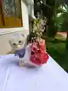 Caja Peluche