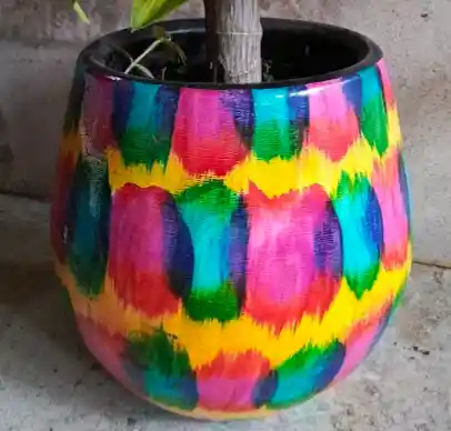 Plantas Vivas Anturio En Planta Decorativa - Detalle Con Amor Para Regalo En Fecha Especial, Navidad, Cumpleaños, Aniversario, Condolencias, Graduación, Felicitaciones Y Agradecimiento.