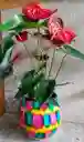 Plantas Vivas Anturio En Planta Decorativa - Detalle Con Amor Para Regalo En Fecha Especial, Navidad, Cumpleaños, Aniversario, Condolencias, Graduación, Felicitaciones Y Agradecimiento.