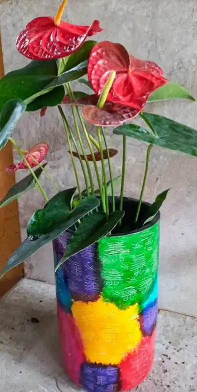 Plantas Vivas Anturio En Planta Decorativa - Detalle Con Amor Para Regalo En Fecha Especial, Navidad, Cumpleaños, Aniversario, Condolencias, Graduación, Felicitaciones Y Agradecimiento.
