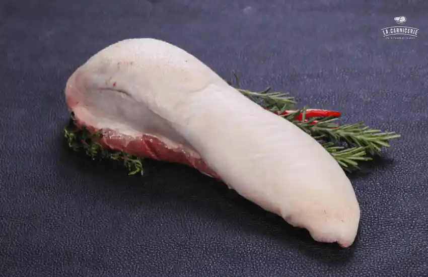 Lengua