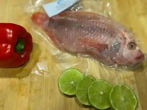 Mojarra