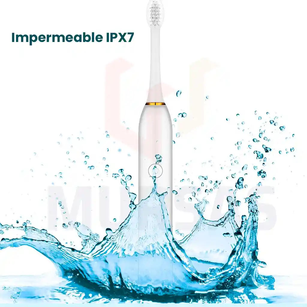 Cepillo Inteligente Efectivo Cable Usb + 4 Repuestos Blanco