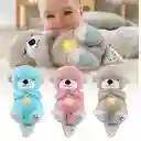 Peluche Nutria Musical Con Movimientos Y Luces Para Bebés Color Marron