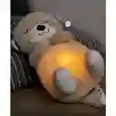 Peluche Nutria Musical Con Movimientos Y Luces Para Bebés Color Marron