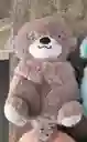 Peluche Nutria Musical Movimientos Y Luces Para Bebés Gris