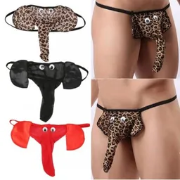 Sexy Tanga De Elefante