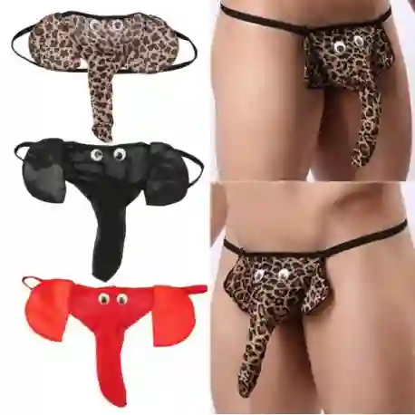 Sexy Tanga De Elefante