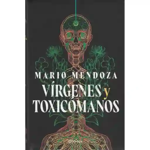 Vírgenes Y Toxicómanos
